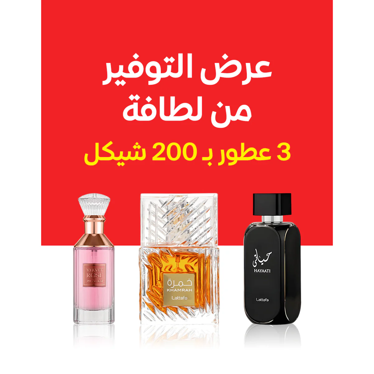حياتي الأسود + خمرة + فلفت روز