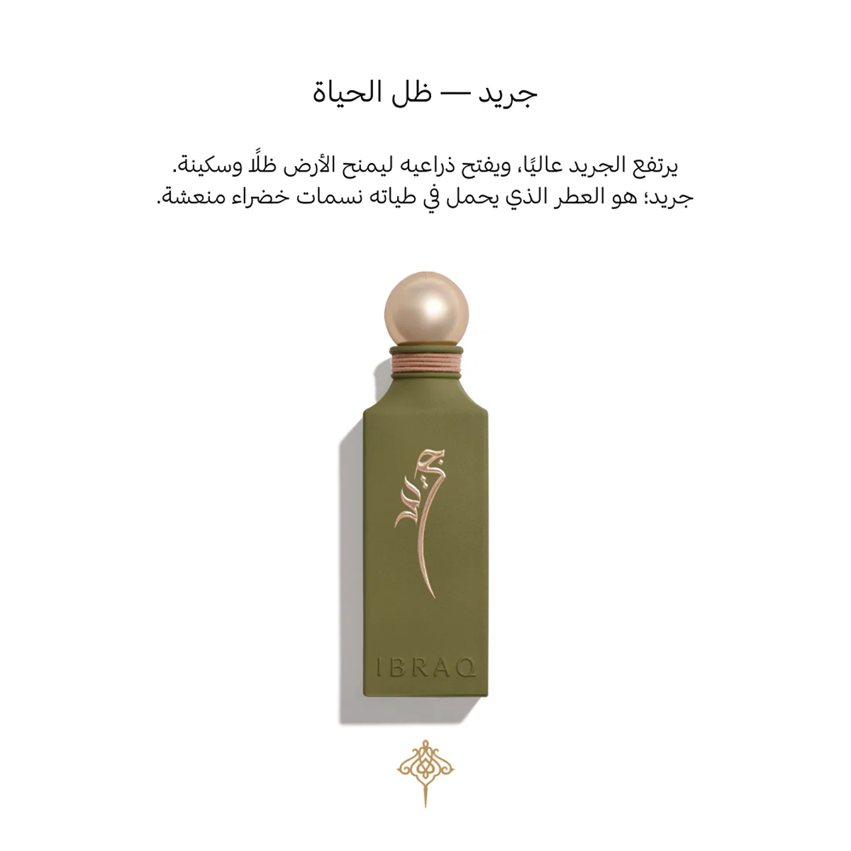 Irth Collection مجموعة إرث من إبراق - إبراهيم القرشي (3 عطور) - Image 5