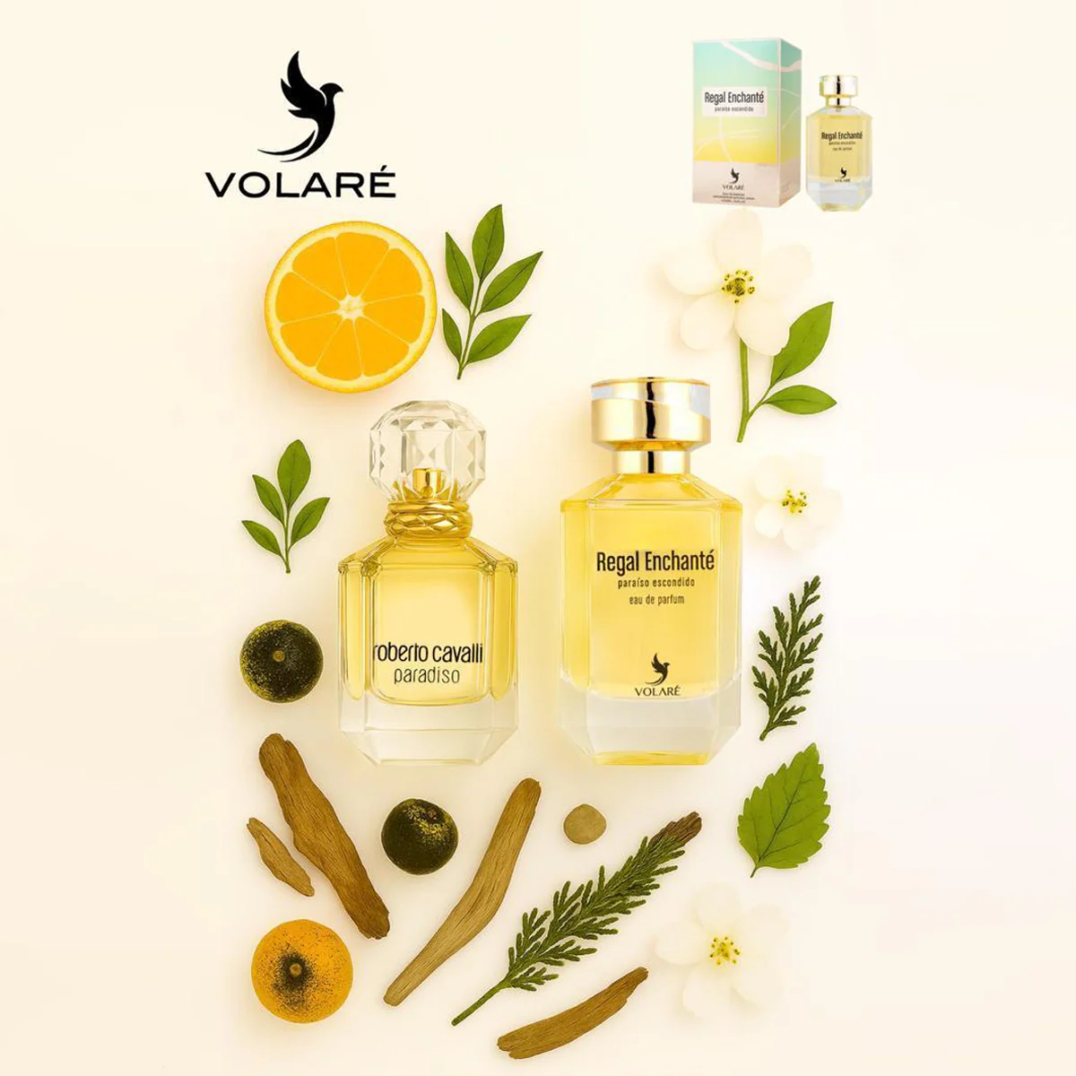 Regal Enchante Paraiso Escondido Volare بديل كفالي برادايس (100مل ستاتي) - Image 2